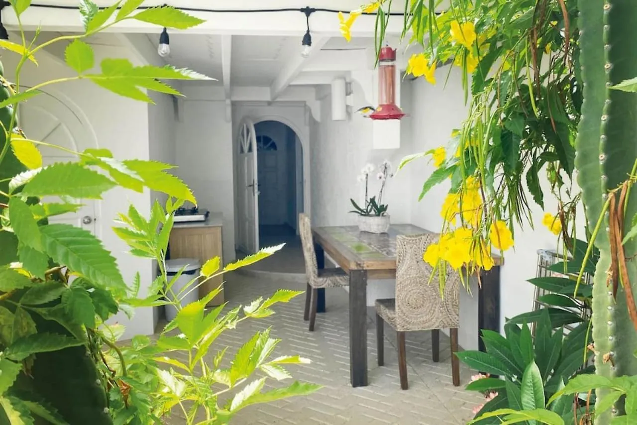 Beach Walk Residences Palm Beach Aruba
