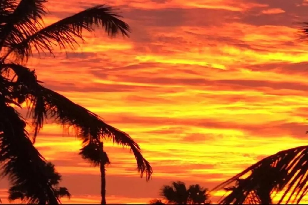 Beach Walk Residences Palm Beach Aruba